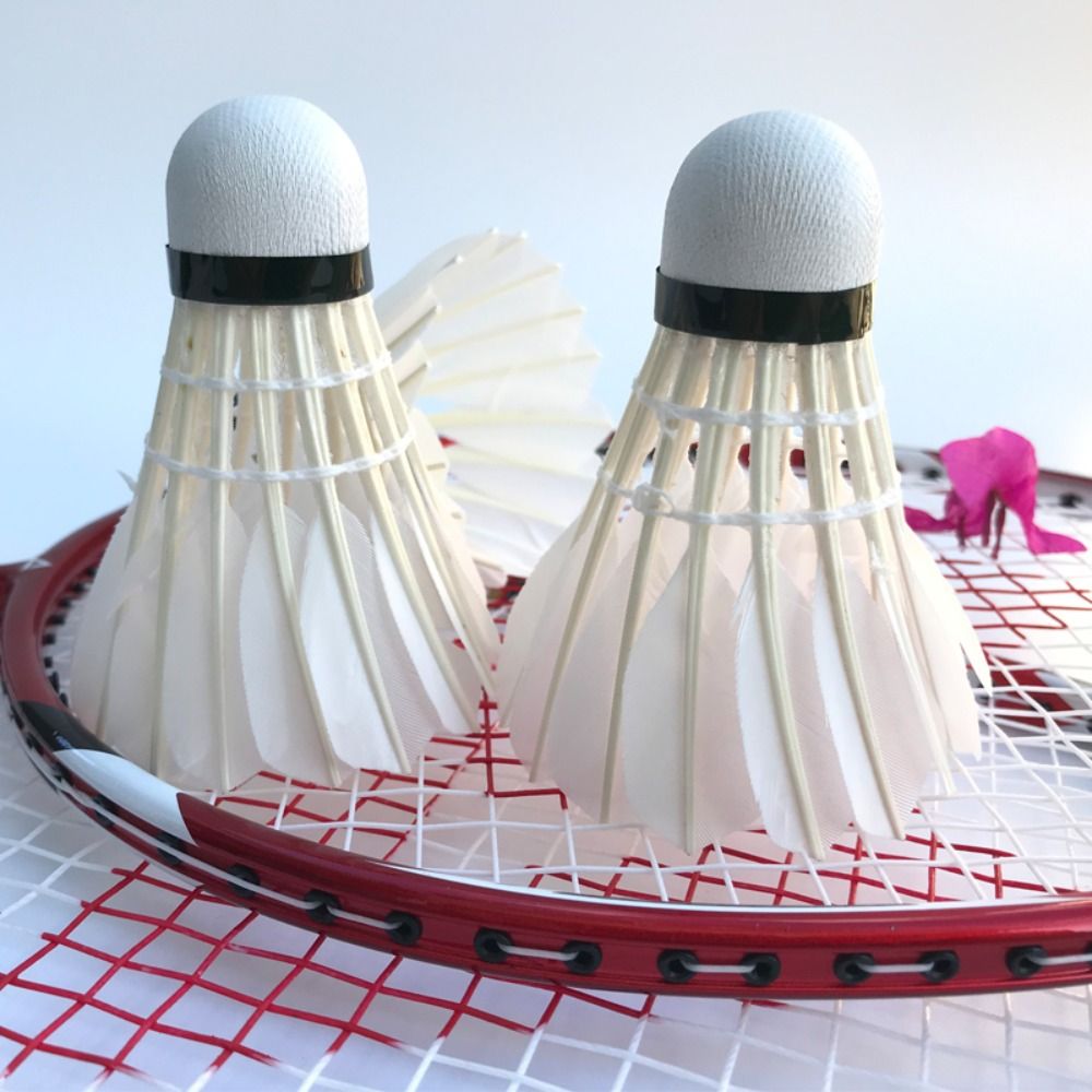 3/6/12 قطعة المهنية الريشة الر - مراجعة Badminton Nylon Shuttlecock وسعره